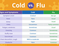Flu vs Cold – outline notes